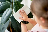 Kid cleaning indoor plants at home