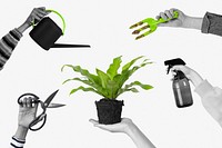 Plant care mockup psd in black and white