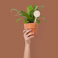 Hand mockup psd holding bird's nest fern