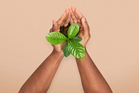 Hands cupping plant mockup psd save the environment campaign