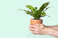 Hand holding plant mockup psd save the environment campaign