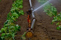 Agricultural Sprinklers. Original public domain image from Wikimedia Commons