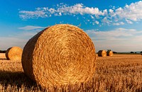 Straw bales. Original public domain image from Wikimedia Commons