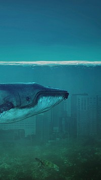 Phone wallpaper, beautiful HD whale illustration background. Original public domain image from Wikimedia Commons