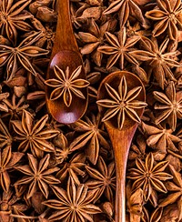 Anise image for Christmas. Original public domain image from Wikimedia Commons