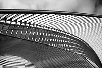 Railway Station, Lige-Guillemins (Luik), Belgium. Architect: Santiago Calatrava (Spain). Original public domain image from <a href="https://commons.wikimedia.org/wiki/File:Li%C3%A8ge_Guillemins_(38292490).jpeg" target="_blank">Wikimedia Commons</a>
