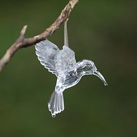 Crystal Hummingbird in the Rain. Original public domain image from <a href="https://commons.wikimedia.org/wiki/File:Crystal_Hummingbird_In_The_Rain_(199692491).jpeg" target="_blank">Wikimedia Commons</a>