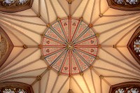 Ceiling in the chapter house inside York Minster. Located in York, Yorkshire, England, UK. Original public domain image from Wikimedia Commons