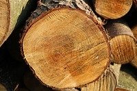 Firewood. Original public domain image from Wikimedia Commons