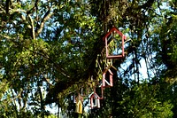 casinhas de passaros do parque edmundo zanonni, atibaia. Original public domain image from <a href="https://commons.wikimedia.org/wiki/File:Casa_De_Quem_(126958619).jpeg" target="_blank">Wikimedia Commons</a>