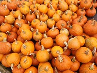 Pumpkins. Original public domain image from <a href="https://commons.wikimedia.org/wiki/File:Pumpkins-115065.jpg" target="_blank">Wikimedia Commons</a>