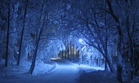 Snowy forest trail. Original public domain image from Wikimedia Commons