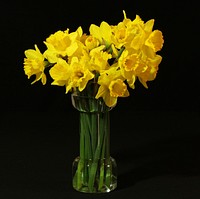 Flower vase Daffodils. Original public domain image from Wikimedia Commons