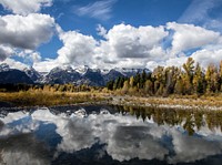 The majestic peaks of the Teton Range reflect in a mountain stream in Grand Teton National Park in northwestern Wyoming. Original image from Carol M. Highsmith&rsquo;s America, Library of Congress collection. Digitally enhanced by rawpixel.