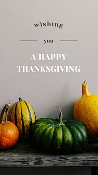 Happy Thanksgiving greeting vector template pumpkin background for social media story