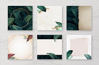 Leaf social media banner collection