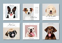 Pet care banner template vectors collection