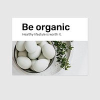 Organic food banner template vector