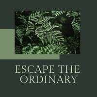 Escape the ordinary inspirational quote minimal plant social media post