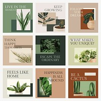 Botanical plant inspirational template vector social media post in minimal style set