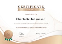 Professional certificate template vector, business course training