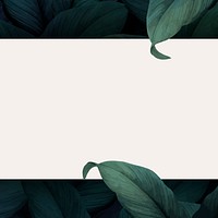 Botanical leafy square social media banner vector