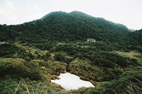 Yangmingshan National Park, Taiwan.