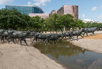 Some of the 70 bronze steers in a large sculpture in Pioneer Park in Dallas that commemorates nineteenth-century cattle drives that took place along the Shawnee Trail, the earliest and easternmost route by which Texas longhorn cattle were taken to northern railheads.