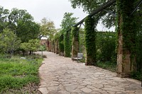 Scene from the Lady Bird Johnson Wildflower Center, part of the University of Texas at Austin but located 10 miles south of the Texas capital.