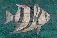 Part of an elaborate &quot;fish mural,&quot; painted in 1906 by a local (reputedly one-armed) fisherman on the arcade of the Champion Building, an 1899-vintage dry-goods store owned by Charles Champion in Port Isabel, Texas.