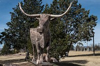 In 1991, Victoria, Texas, artist Harold Nichols donated his metal sculpture of a longhorn steer, made of enough steel to build an automobile, to his alma mater, Sul Ross State University in Alpine.