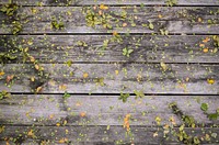 Fallen leaves on wooden floor. Original public domain image from <a href="https://commons.wikimedia.org/wiki/File:Leaves@planks(bySteveRichey).JPG" target="_blank">Wikimedia Commons</a>