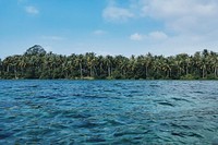 Plam forest island in Ilha Pahawang. Original public domain image from Wikimedia Commons