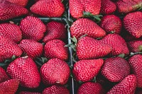 Baskets of fresh red strawberries for sale at a produce market. Original public domain image from <a href="https://commons.wikimedia.org/wiki/File:Collection_of_strawberry_(Unsplash).jpg" target="_blank" rel="noopener noreferrer nofollow">Wikimedia Commons</a>
