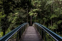 Whangarei Falls, Whangarei, New Zealand. Original public domain image from Wikimedia Commons