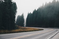 A bend in an asphalt road lined with tall coniferous trees. Original public domain image from Wikimedia Commons
