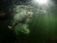 A person swimming underwater with the sun shining into the green lake at Brohm Lake. Original public domain image from Wikimedia Commons