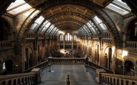 The vaulted hall in the Natural History Museum in London illuminated by the sun. Original public domain image from Wikimedia Commons