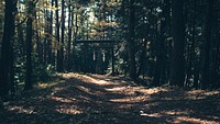 A wooden gateway at the end of a trail in a forest. Original public domain image from <a href="https://commons.wikimedia.org/wiki/File:Forest_gateway_(Unsplash).jpg" target="_blank" rel="noopener noreferrer nofollow">Wikimedia Commons</a>
