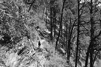 A black-and-white shot of a lone hiker standing on a dirt trail on a wooded slope. Original public domain image from Wikimedia Commons