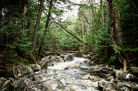 Stream through a forest. Original public domain image from Wikimedia Commons