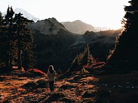 A woman looking at mountain peaks in an autumn setting with trees casting long shadows. Original public domain image from Wikimedia Commons