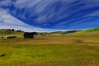 A wooden shack in the middle of a green and yellow field. Original public domain image from <a href="https://commons.wikimedia.org/wiki/File:The_Cabin_(Unsplash).jpg" target="_blank" rel="noopener noreferrer nofollow">Wikimedia Commons</a>
