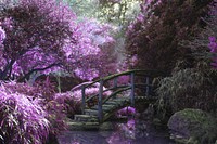 A mystical garden. Original public domain image from Wikimedia Commons