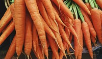 Fresh organic carrots with green tops. Original public domain image from <a href="https://commons.wikimedia.org/wiki/File:Organic_Carrots_(Unsplash).jpg" target="_blank" rel="noopener noreferrer nofollow">Wikimedia Commons</a>