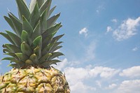 High shot of a pineapple and its green top against a blue sky. Original public domain image from <a href="https://commons.wikimedia.org/wiki/File:Pineapple_top_(Unsplash).jpg" target="_blank" rel="noopener noreferrer nofollow">Wikimedia Commons</a>