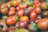 Fresh organic tomatoes. Original public domain image from <a href="https://commons.wikimedia.org/wiki/File:Anda_Ambrosini_2015_(Unsplash).jpg" target="_blank">Wikimedia Commons</a>