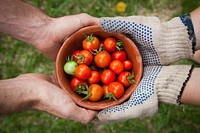 One person wearing gloves and another person holding a bowl of red cherry tomatoes. Original public domain image from Wikimedia Commons