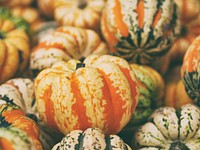 Pile of pumpkins and gourds from a fall harvest. Original public domain image from Wikimedia Commons