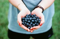 Hands holding a bunch of freshly picked blueberries. Original public domain image from <a href="https://commons.wikimedia.org/wiki/File:Handful_of_Blueberries_(Unsplash).jpg" target="_blank">Wikimedia Commons</a>